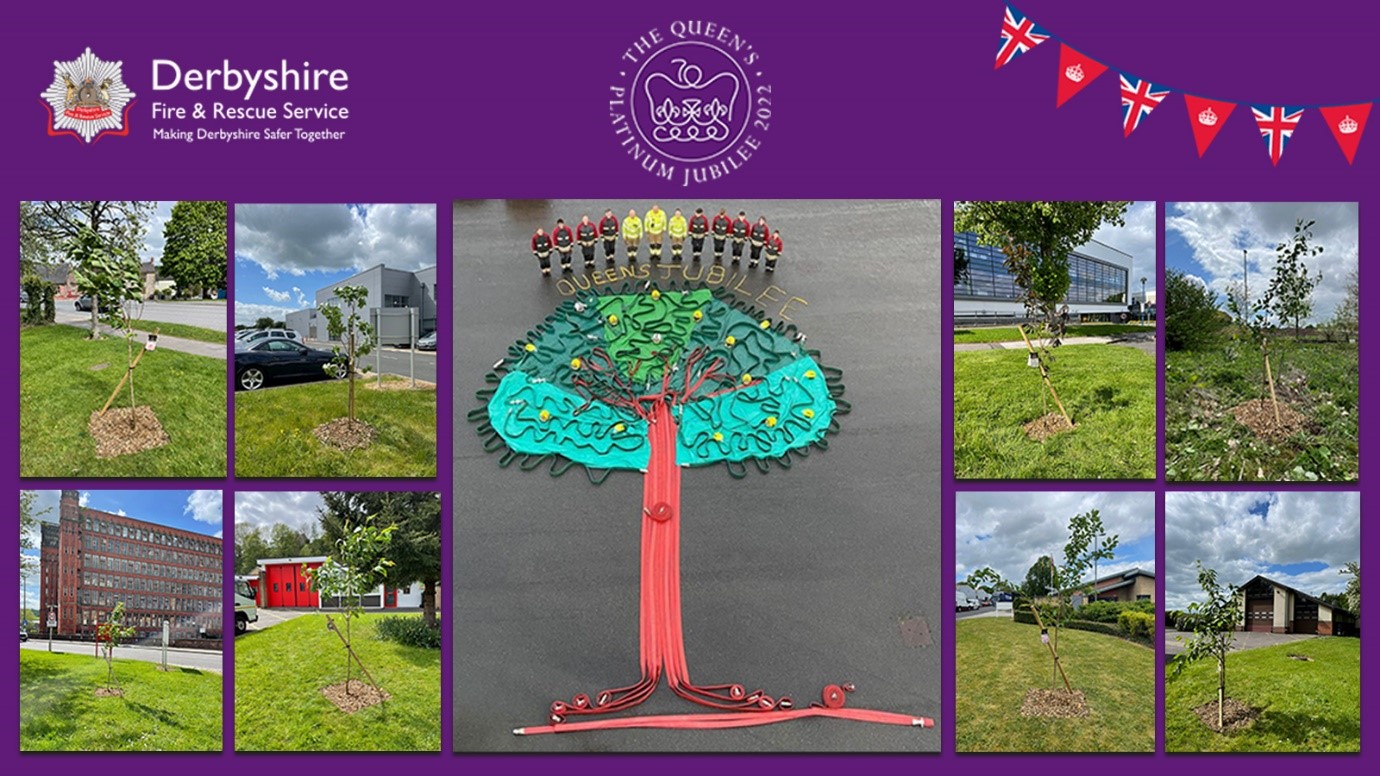 Montage of the Jubilee Trees