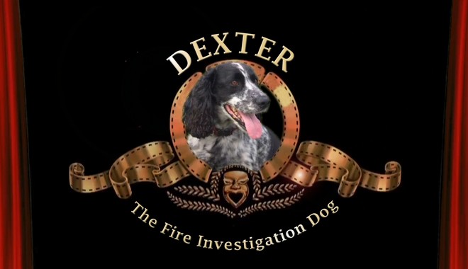 MGM style logo with dexter the fire investigation dog